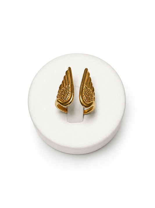 ANELLO ICARO