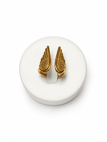 ANELLO ICARO