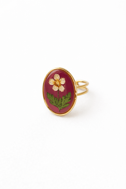 ANELLO HERBARIUM - ANIMO